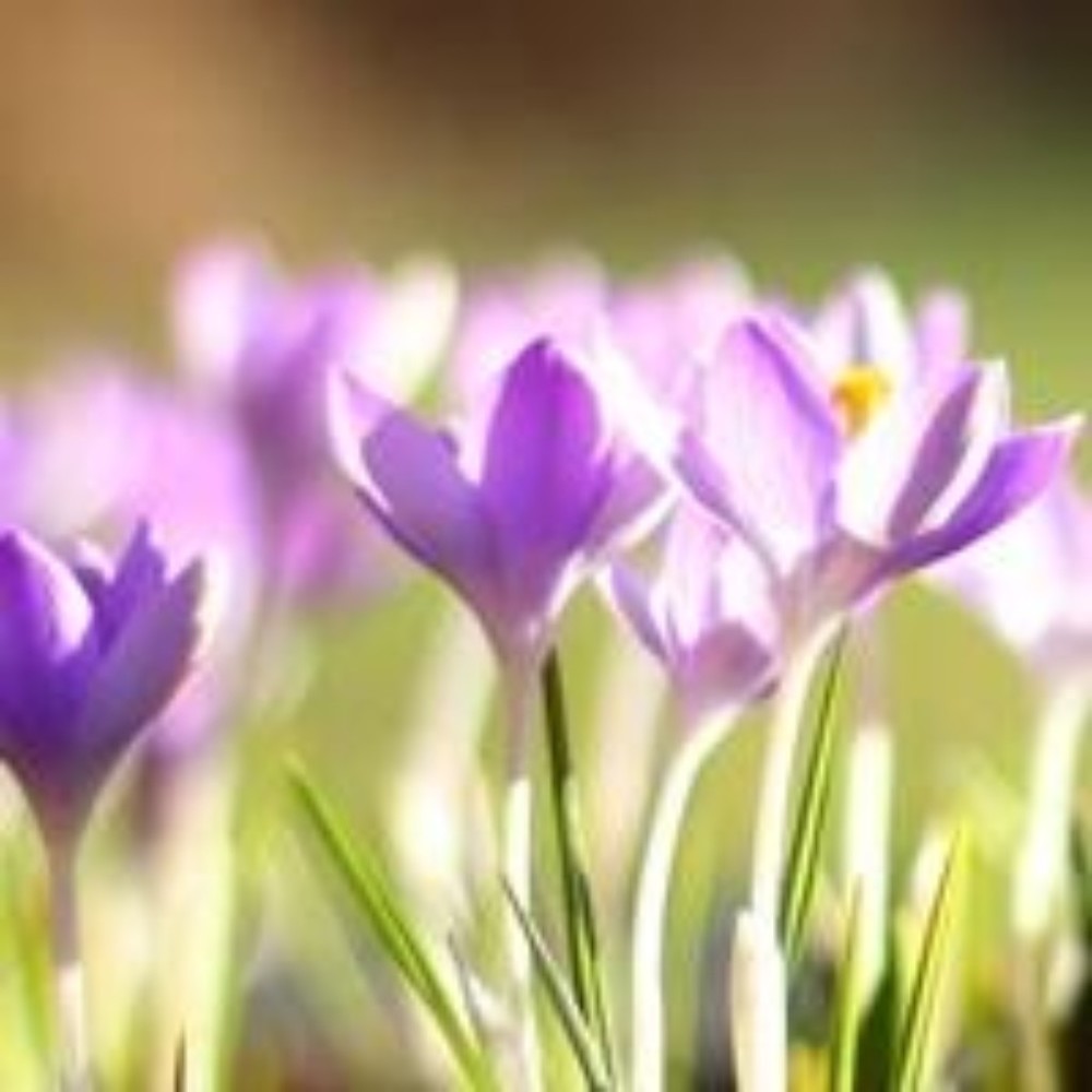 Meet your Posher, Jodi